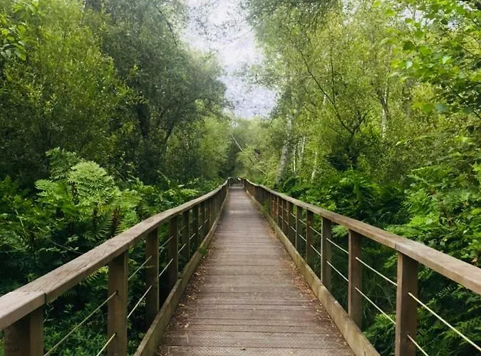 Maison De Vacance * Hourtin